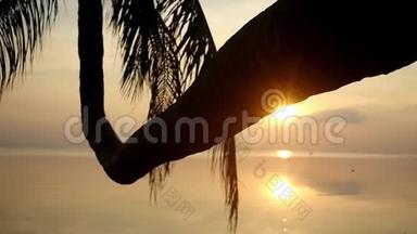 <strong>金色</strong>的傍晚阳光透过海滩上的普拉姆树照耀着天堂岛。 慢动作。 1920x1080